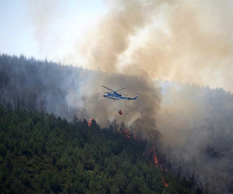 Al menos 12 muertos en incendio forestal en el sur de Espa&ntilde;a