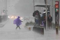 &iquest;Habr&aacute; Tormenta Negra en M&eacute;xico?; esto se sabe
