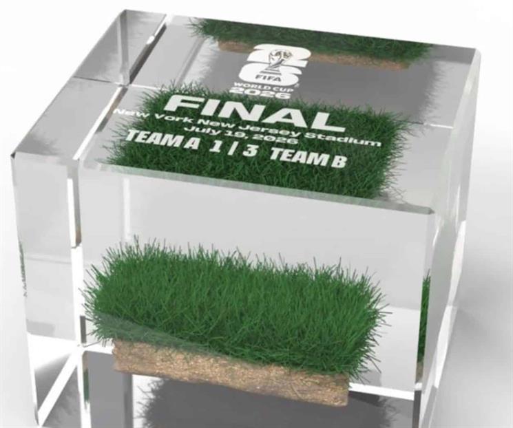 FIFA vende el césped de la final del Mundial por 450 dólares FIFA vende el césped de la final del Mundial por 450 dólares