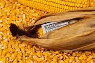 Rechazan empresas de EU freno a importaciones agr&iacute;colas
