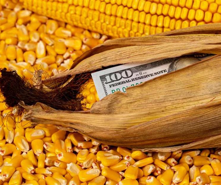 Rechazan empresas de EU freno a importaciones agrícolas Rechazan empresas de EU freno a importaciones agrícolas
