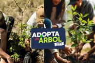 Consolidan &acute;Adopta un &aacute;rbol MTY&acute;