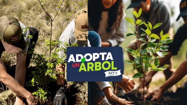 Consolidan &acute;Adopta un &aacute;rbol MTY&acute;