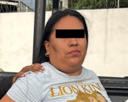 Detenida por robo a tienda departamental