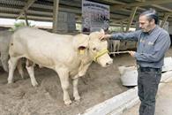Arranca Programa de Mejoramiento Genético de Ganado Arranca Programa de Mejoramiento Genético de Ganado