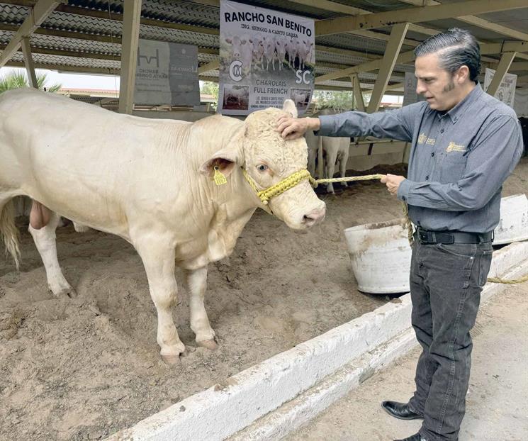 Arranca Programa de Mejoramiento Gen&eacute;tico de Ganado