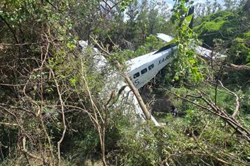 Sobreviven a ca&iacute;da de una avioneta