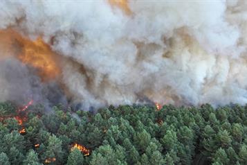 Arrasa un incendio el bosque de Fontainebleau, Francia
