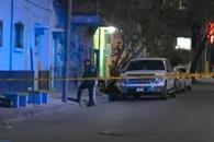 Hallan feto en jardinera