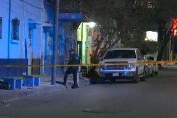 Hallan feto en jardinera