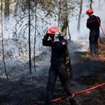 Prisi&oacute;n para sospechoso de incendio en bosque franc&eacute;s