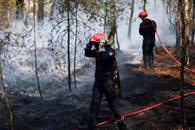 Prisi&oacute;n para sospechoso de incendio en bosque franc&eacute;s