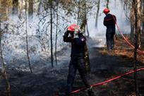 Prisi&oacute;n para sospechoso de incendio en bosque franc&eacute;s