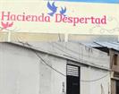 Investigan muerte de mujer en centro de rehabilitaci&oacute;n de Guadalupe