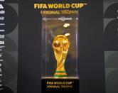 FIFA pagar&aacute; 50 mdd al campe&oacute;n del Mundial.