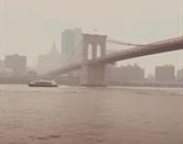 &iquest;Se suspender&aacute; la final por contaminaci&oacute;n en Nueva York?