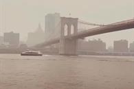 &iquest;Se suspender&aacute; la final por contaminaci&oacute;n en Nueva York?
