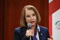 Itzel Castillo abre la puerta a ampliar presidencia del Senado Itzel Castillo abre la puerta a ampliar presidencia del Senado