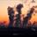 Revisa bloque europeo su mercado de carbono