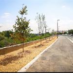 Buscan participaci&oacute;n ciudadana en dise&ntilde;o de &aacute;reas verdes