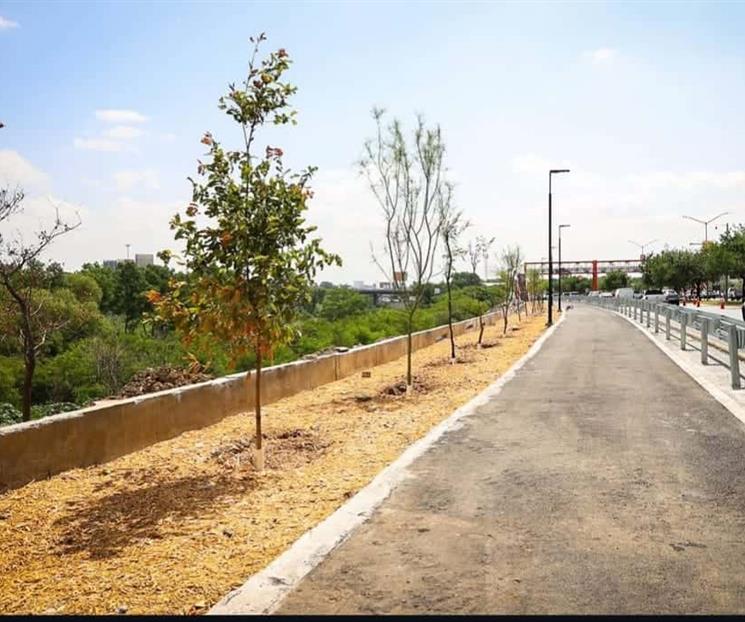 Buscan participación ciudadana en diseño de áreas verdes Buscan participación ciudadana en diseño de áreas verdes