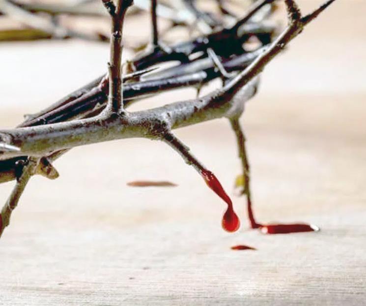 ¿Por qué la Iglesia dedica julio a la Preciosísima Sangre de Cristo? ¿Por qué la Iglesia dedica julio a la Preciosísima Sangre de Cristo?