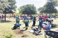 Combate Monterrey el calor con jornada de plantación de árboles Combate Monterrey el calor con jornada de plantación de árboles