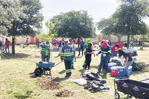 Combate Monterrey el calor con jornada de plantaci&oacute;n de &aacute;rboles