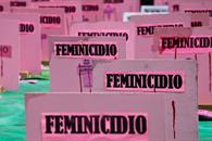 Busca iniciativa castigar con mayor rigor el feminicidio Busca iniciativa castigar con mayor rigor el feminicidio