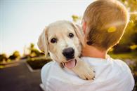 ¿Por qué abrazar a tu mascota reduce el estrés según la ciencia? ¿Por qué abrazar a tu mascota reduce el estrés según la ciencia?