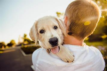 &iquest;Por qu&eacute; abrazar a tu mascota reduce el estr&eacute;s seg&uacute;n la ciencia?