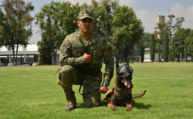 Marina reconoce labor de canes en el D&iacute;a Mundial del Perro