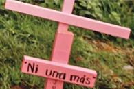 Senadoras de oposición ven insuficiente subir penas al feminicidio Senadoras de oposición ven insuficiente subir penas al feminicidio