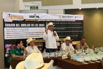 Actualizan regionalización del gusano barrenador