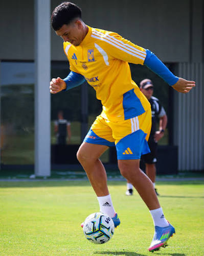 Jugar&iacute;a Alan ante San Luis
