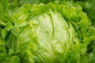 Tras caso de lechuga mexicana en EU, piden más presupuesto en sanida Tras caso de lechuga mexicana en EU, piden más presupuesto en sanida