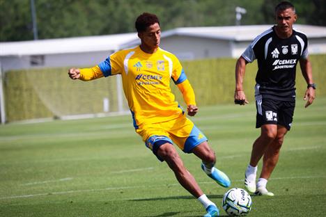Tigres debuta en casa entre dudas