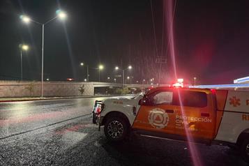 Deja tormenta &acute;Bertha&acute; colonias sin luz y &aacute;rboles ca&iacute;dos