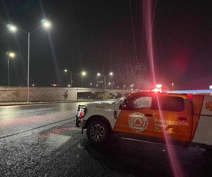 Deja tormenta &acute;Bertha&acute; colonias sin luz y &aacute;rboles ca&iacute;dos