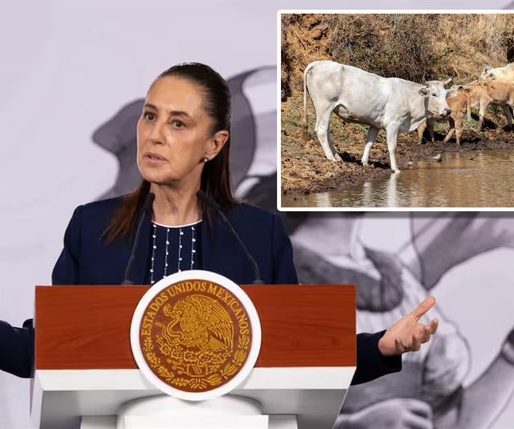 Reanudan exportaci&oacute;n de ganado mexicano a Estados Unidos