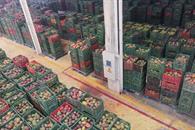 Piden reforzar presupuesto para la sanidad agroalimentaria Piden reforzar presupuesto para la sanidad agroalimentaria