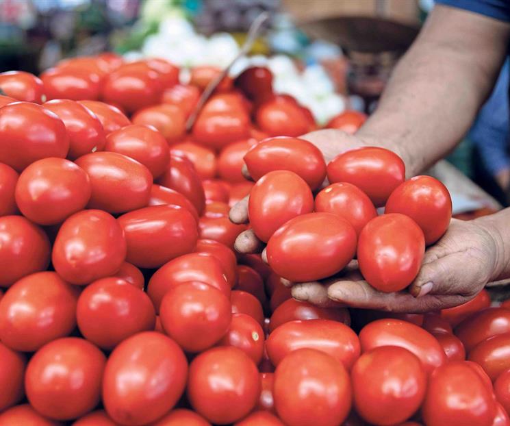 Cae la exportaci&oacute;n de jitomate mexicano a EU