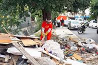 Reporta División Ambiental avances en labores de protección Reporta División Ambiental avances en labores de protección