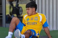 Entrena Tigres sin &acute;seleccionados